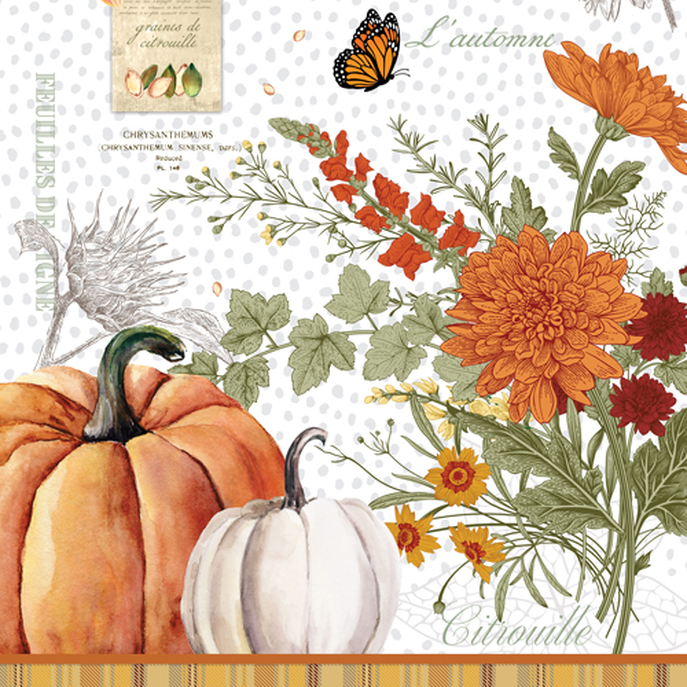 MDW - Pumpkin Delight Collection